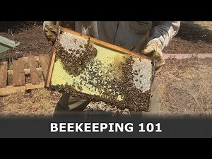 BeeKeeping 101: How to Take Care of Bees | EP 014