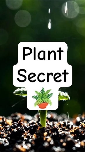 How Plants Actually Make Food! 🍃 | ICSE Bio Lab