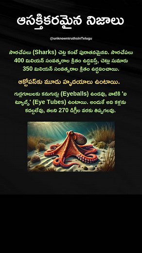 #14 interesting facts in telugu | Unknown Truths In Telugu