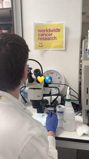 4.7K views · 42 reactions | What does cancer research look like? Here's a snapshot of our  recently at Worldwide Cancer Research. #CancerResearch #Hope #Charity #Optimism | Worldwide Cancer Research | Facebook