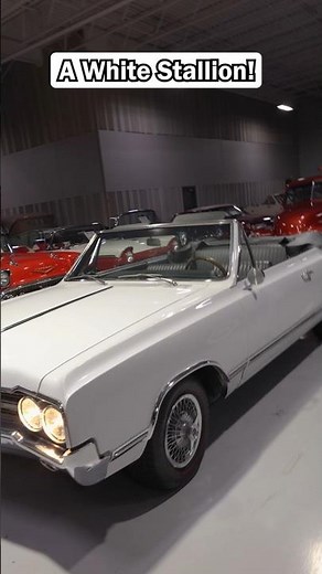 A perfect cruiser! 1965 Oldsmobile Cutlass 442 Convertible