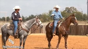 51K views · 87 shares | Build your horse’s confidence with this drill demonstrated by @chriscoxhorsemanship on totalteamroping.com. | Total Team Roping | Facebook