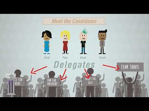 How Do Primaries Work? | Simple Civics