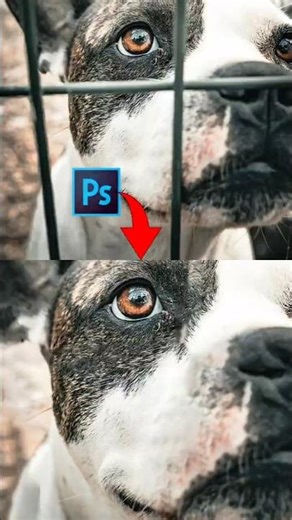 Remove Anything in Seconds – Photoshop Magic 🎩 #PhotoshopTutorial #PhotoshopMagic #EditingSkills
