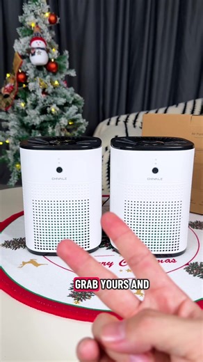 Effective Air Purifiers for Dust and Pet Hair Removal