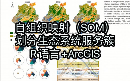 R语言 ArcGIS自组织映射划分生态系统服务簇
