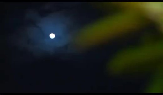 faradina kembali menajdi mtw intm cycel 2 #intm #nettv #cycle2 #intmnettv