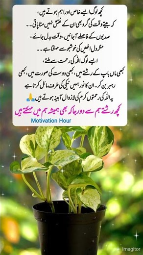 Kuch Rishtay Door Reh Kar Bhi Hamesha Mehakte Hain |Motivational Urdu Status #Shorts #trending#viral