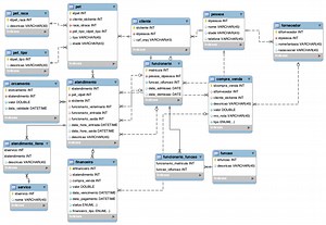 Modelo Entidade Relacionamento de banco de dados para PetShop. - WSA | Hotmart