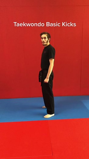Basic Kicks Taekwondo Ap- Chagi #Taekwondokicks#taekwondofighter #Basickicks #ApChagi