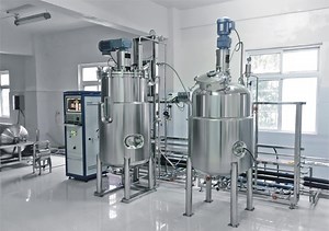 [Hot Item] Bxbio 3t 4t Big Scale Industrial Bioreactor for Yeast Fermentation