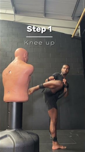 Hook to turning kick tutorial