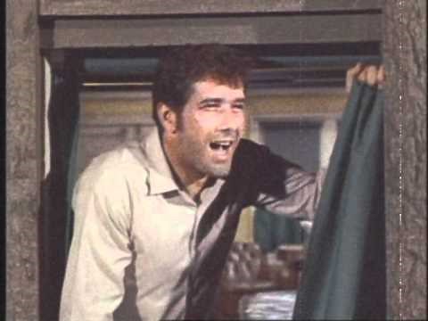 Robert Fuller - I saw the light