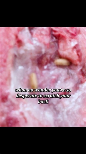 #untoldstoriesoftheer #erdrama #hospitalstories #truemedicalcases #emergencyroom