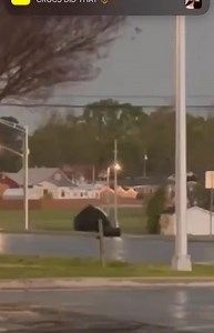 [APRIL 10] Here's a video of the Alabama State Bird on the loose and going across Hwy 31 in Hartselle yesterday. Video sent to us by Bethany Peak. (We added the music just for fun) | Morgan County Sheriff's Office