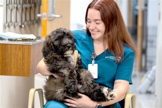 From Classrooms to Kennels: Training Tomorrow’s Vet Techs at Eastern Florida State College - Space Coast Daily
