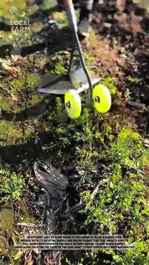 Clear Weeds Instantly! The Manual Push Rotary Hoe You Need"
