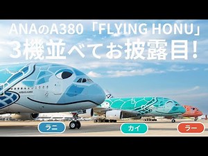 ANAの2階建大型機A380「FLYING HONU」全3機まとめてお披露目！