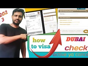 How to check UAE Visa status | UAE employment visa kaise check Kare active ya cancel | Dubai visa