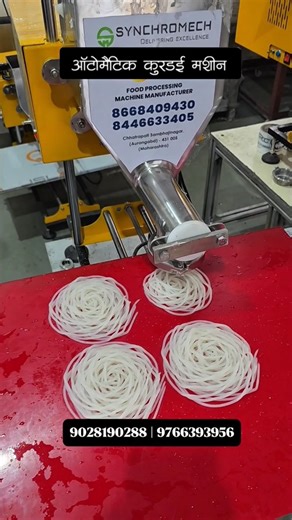 Automatic Kurdai Making Machine | चीक टाकताच मशीनवर कुरडई तयार | Food Business Idea