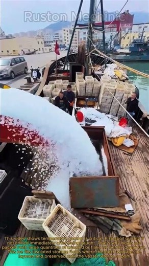 How Commercial Fishing Boats Stay Cold: The Ice Loading Process