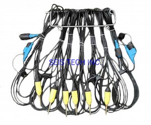 [Hot Item] Geophone Strings for Land, Marsh and Transition Zone