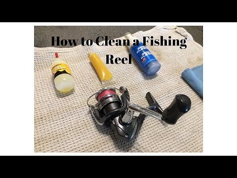 How to Clean And Lube a Fishing Reel