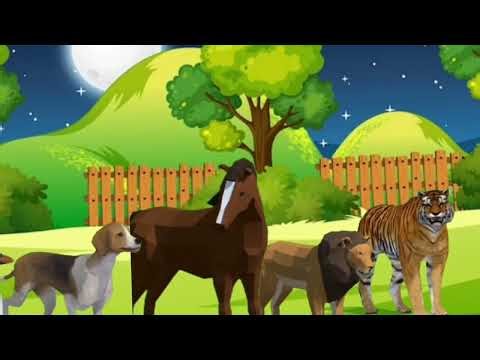 Long slide game with 🦁 lion tiger horse Vs Dog