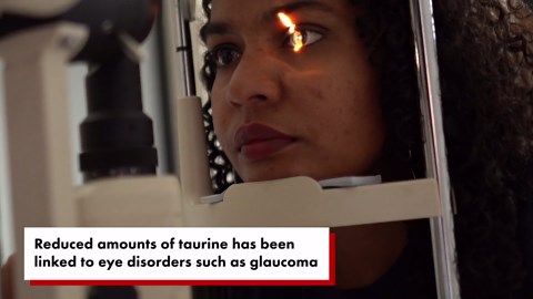 What is taurine? Benefits and side effects of the energy drink supplement