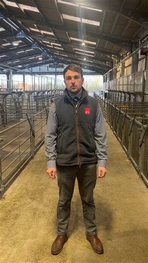 2.9K views · 43 reactions | OUR PIG AUCTIONEER - HENRY WORLE TALKS...
