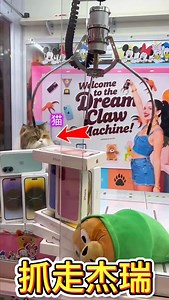 165K views · 2.4K reactions | Real-life cat and mouse in the claw machine! #clawmachine #arcade | Office Games Team | Facebook