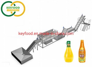[Hot Item] Fresh Mango Juice Production Line with Filling Machine