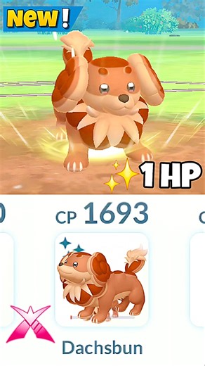 1 HP New✨️Shiny Dachsbun Destroy Grunt Badly in Pokemon Go