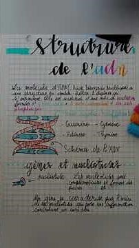 structure de l'ADN #fichederevision