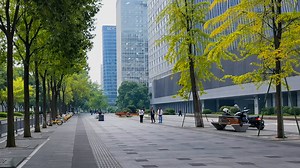 Trees and towers line this China walkway
