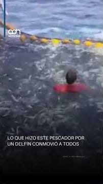 Se lanzó al agua rodeado de un banco de peces para salvar a un delfín que necesitaba ayuda.
