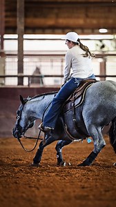 14K views · 13K reactions | FREAK 掠 Let me introduce you to Bleu On Black, BLUE ROAN stallion by @onceinabluboon out of Lil Autumn Splendor by CD Olena. He sells May 26th  #theverybest #soloselecthorses #stallion #cuttinghorse #blueroan #ncha #Onceinablueboon | Solo Select Horses | Facebook