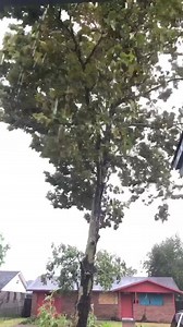 Crabby Cakes Custom Cakes & More on Reels | Facebook