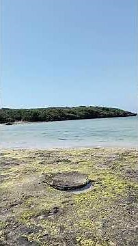 【海】星砂の浜01 西表島 star sand beach 沖縄 サンゴ 干潮 blue sea & sky ヤドカリ 魚 貝 Iriomote island 癒し relax
