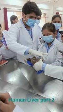 #Anatomy Lab Dissection hall MBBS 1 st year