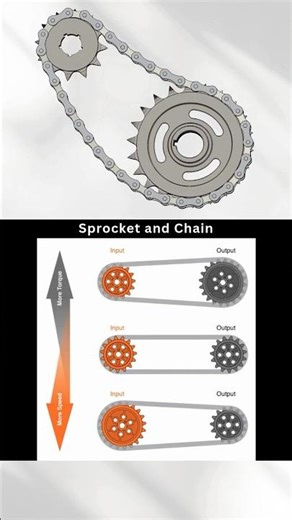 Chain & Sprocket | More power or More torque!?