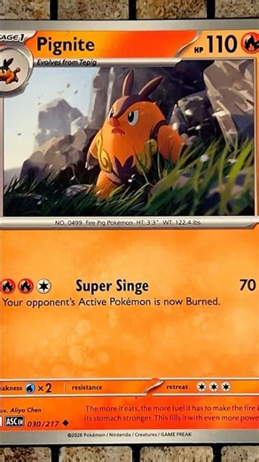 Pignite (030/217 - Uncommon Normal) - Mega Evolution: Ascended Heroes - Pokemon TCG