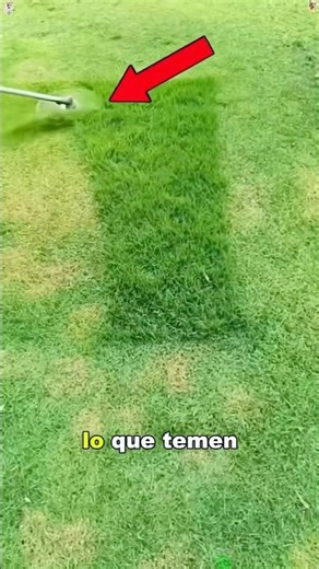 Why use nylon rope to cut grass?##youtubeshorts #us #foryou #amazing