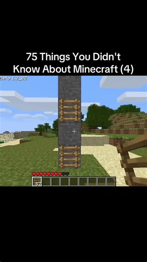 75 Surprising Facts About Minecraft You Didn't Know