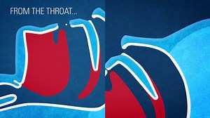 1.3K views · 30 reactions | Fact check: Did you know there are two types of snoring? Snoring can be coming from the throat or from the nose. Check out this video on why we snore for... | By Resmed | Facebook