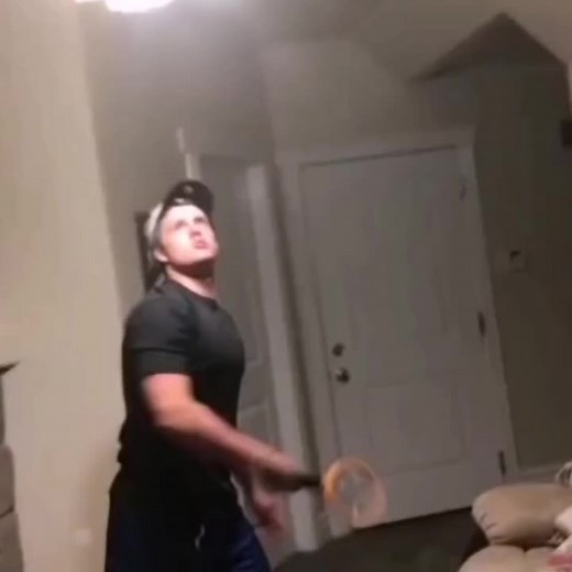 Hilarious Moments with an Angry Bee