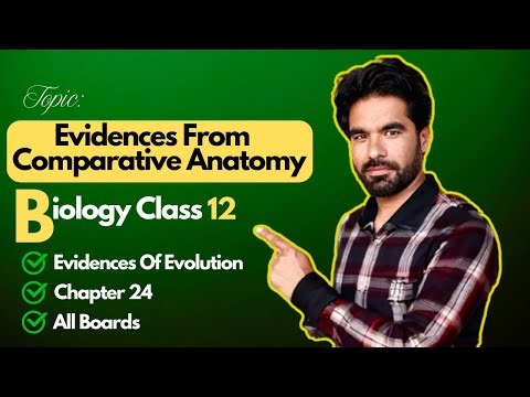 Comparative Anatomy Evidence for Evolution