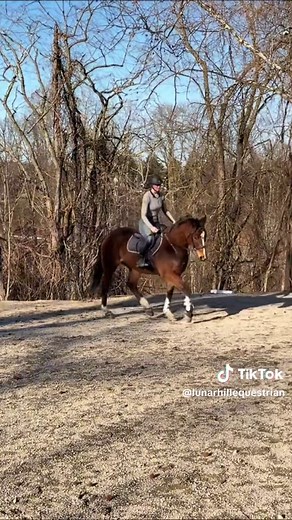 Exciting OTTB's First Grid Experience