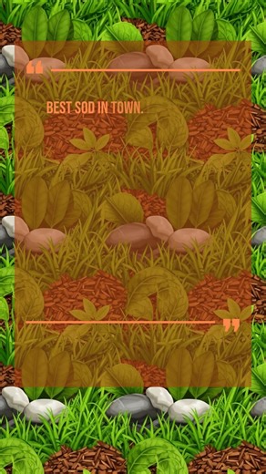 Top-Quality Bahia Sod for Drought Conditions