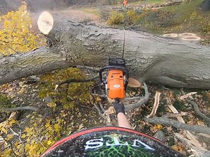Tried kicking it over... lol #arborist #gopro #forestry #supportsmallbusiness #funny #foryoupage #explorepage #fbreels #kick | Vance Tree Service Inc